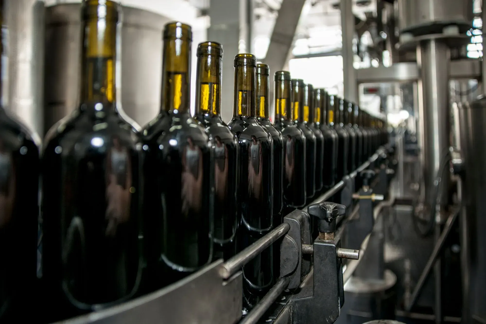 Botellas avanzando por una línea de embotellado