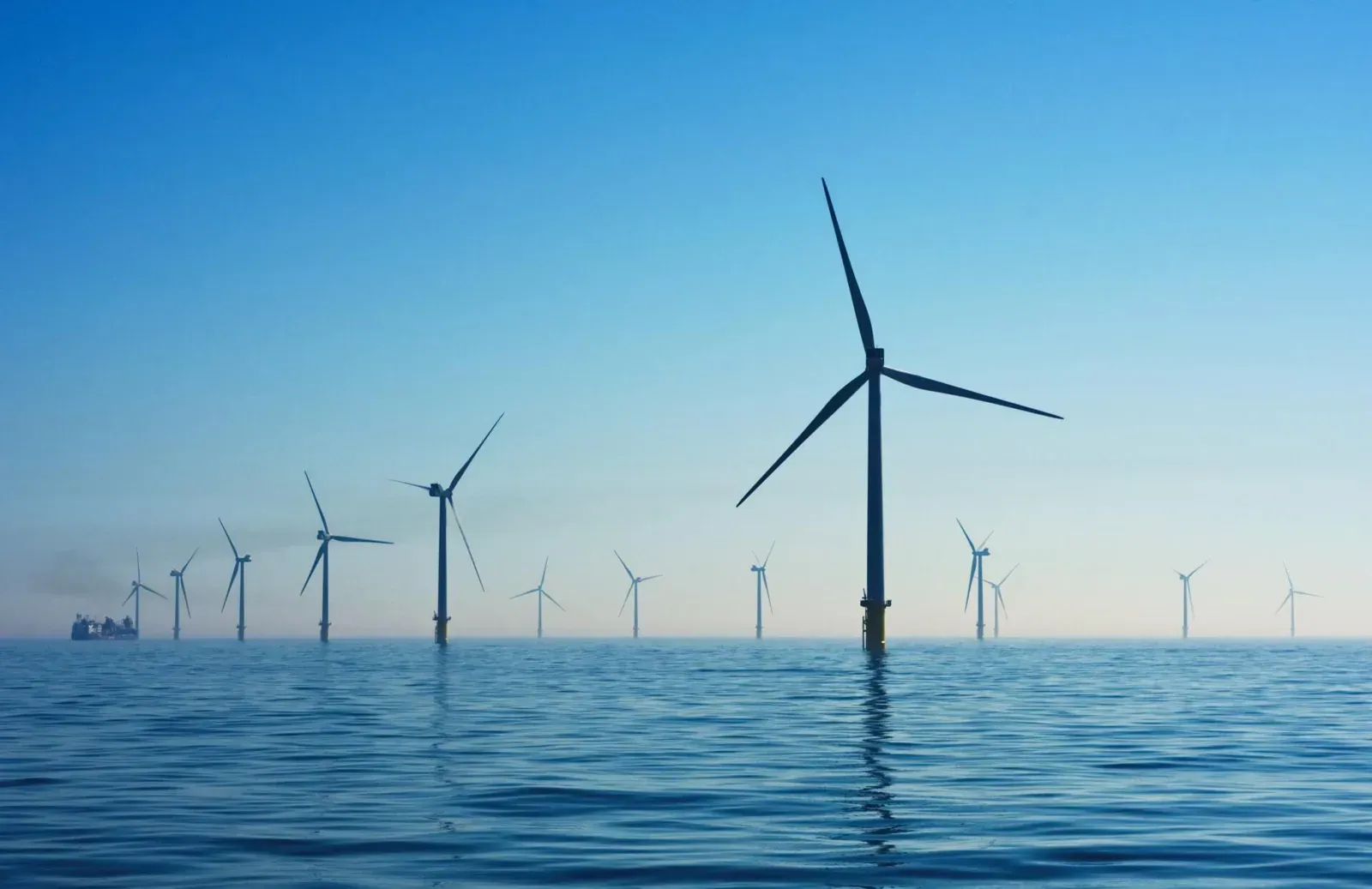 ¿Conoces las diferencias entre Net-Zero y Carbon Neutral?
