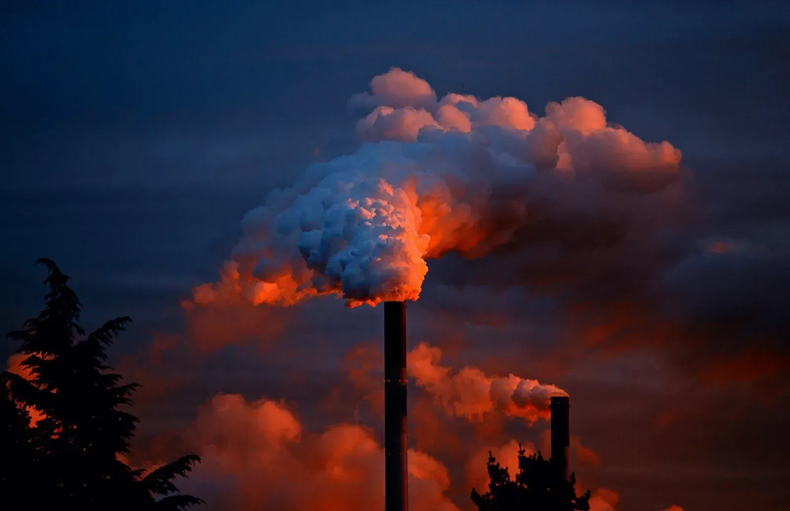 Cómo afectan los gases de efecto invernadero a la Tierra y qué podemos hacer para revertir la emergencia climática