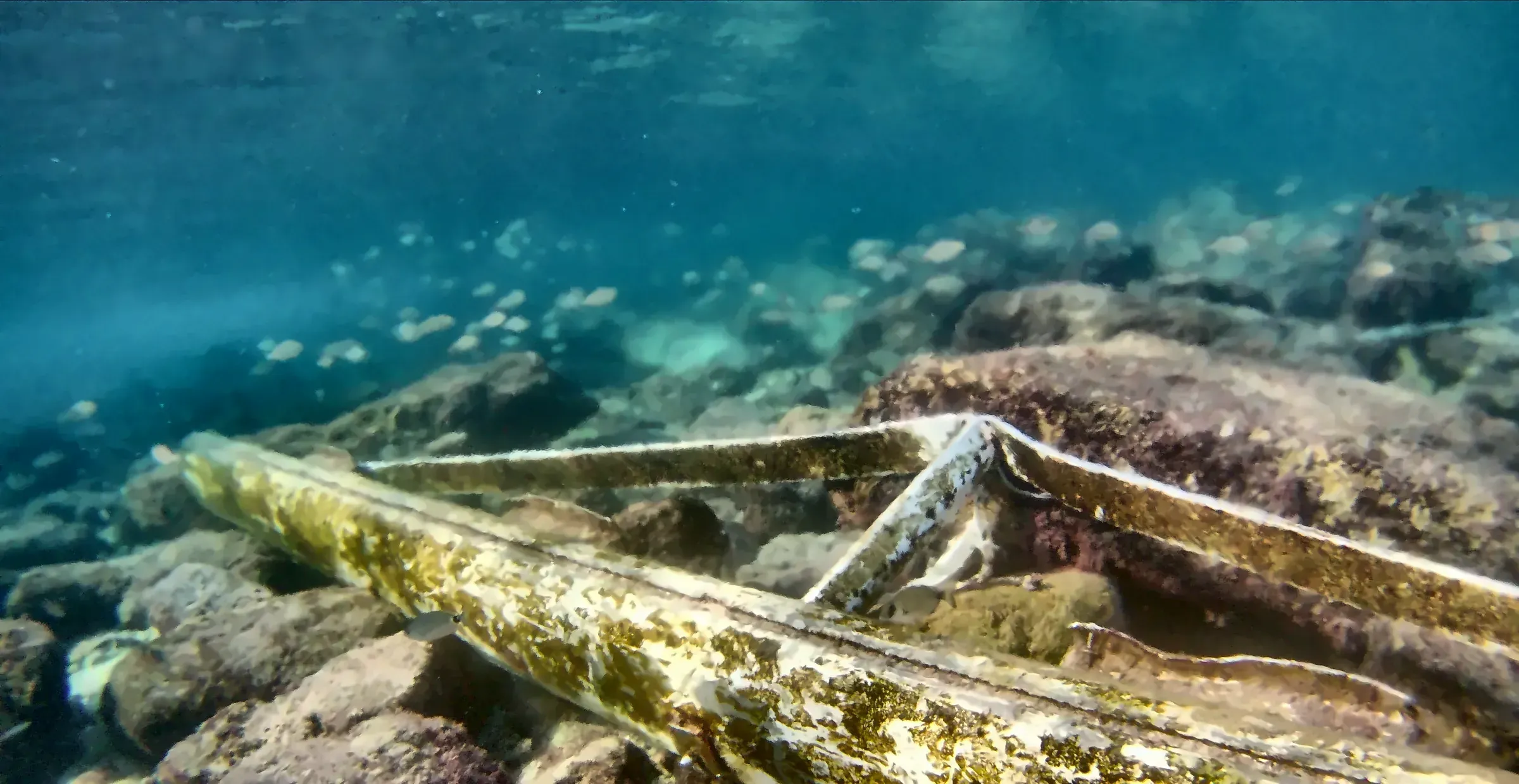 Residuo de gran tamaño cubierto de algas sobre el fondo rocoso, captado por un dron submarino