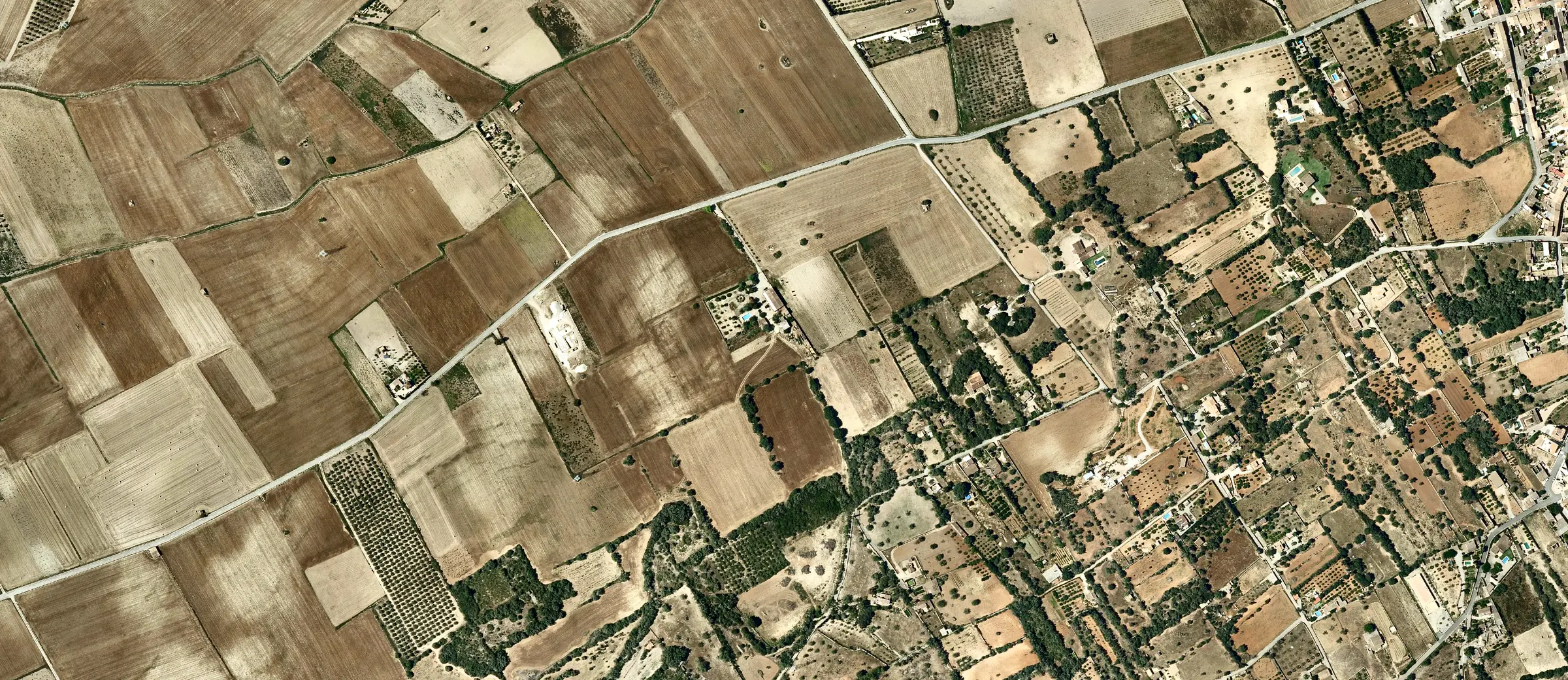 Ortofoto de parcelas agrícolas en Petra (Mallorca)